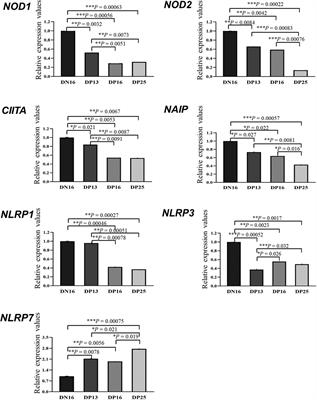 Effects of early pregnancy on NOD-like receptor expression in the ovine endometrium